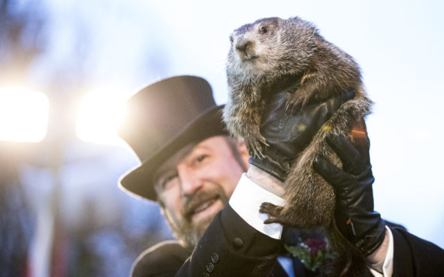 Groundhog Punxsutawney Phil Predicts an Early Spring