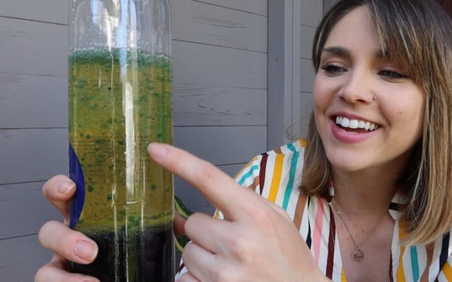 Kid science! How to DIY a lava lamp at home