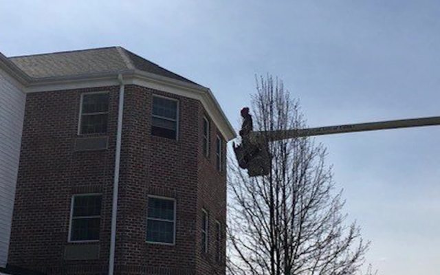 Ohio Man Uses Bucket Truck to Visit Mom’s 3rd Floor Window During Quarantine
