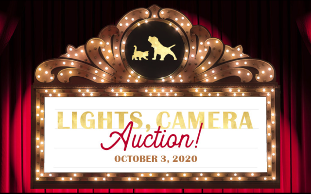 Lights, Camera, AUCTION! Join Me for the Humane Society for Southwest Washington’s 16th annual auction