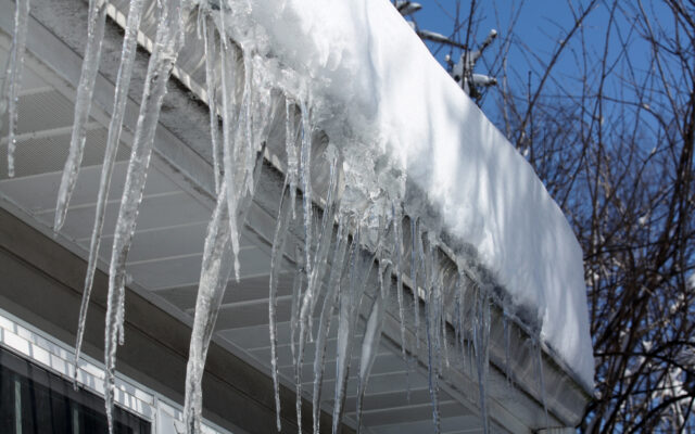 Love eating the icicles off your house? You’re actually eating poop
