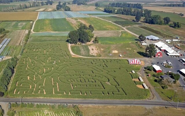 Looking for a great Pumpkin Patch & Corn Maze? We Got You