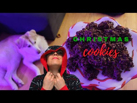 Make Christmas cookies with Cassidy!