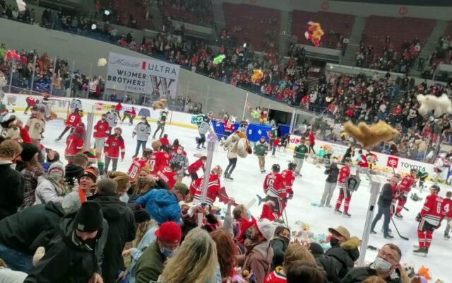 7531 Teddy Bears Donated In 60 Seconds